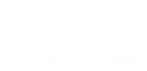 Sky Scanner